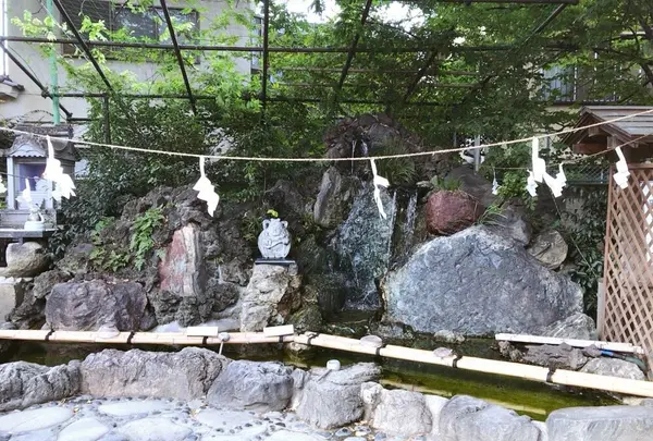 川越熊野神社の写真・動画_image_160451