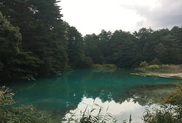 五色沼の写真・動画_image_160474