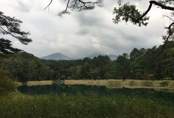 五色沼の写真・動画_image_160475