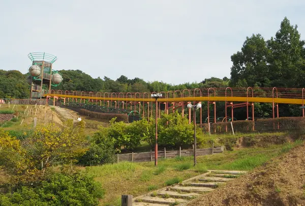 四季の郷公園の写真・動画_image_160517