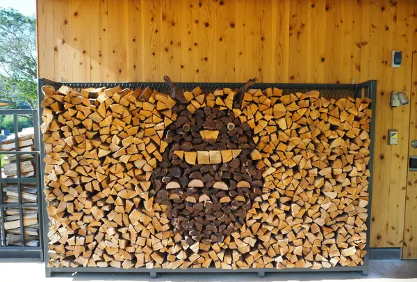 大池カフェ ST.ZEPHYRの写真・動画_image_160535