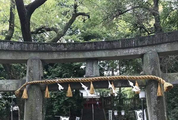 仙波東照宮の写真・動画_image_160954