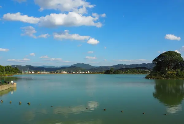平池緑地公園の写真・動画_image_160963