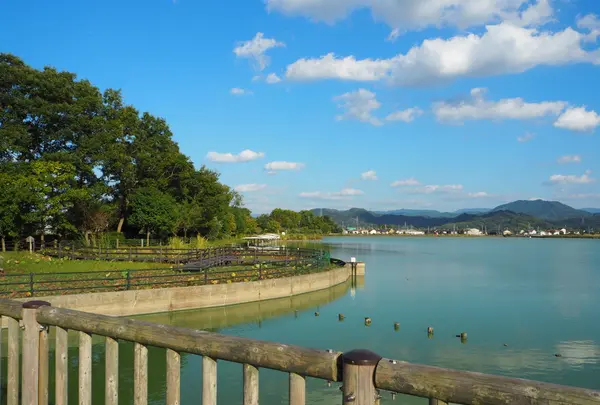平池緑地公園の写真・動画_image_160964
