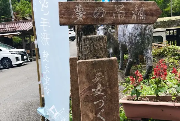 夢の吊橋の写真・動画_image_161073