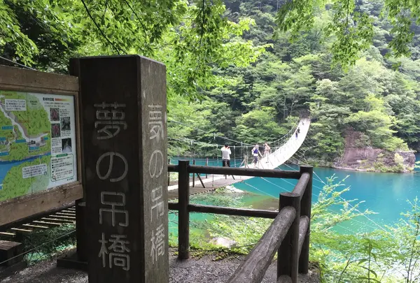 夢の吊橋の写真・動画_image_161074