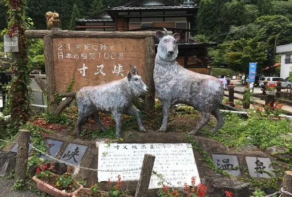 夢の吊橋の写真・動画_image_161075