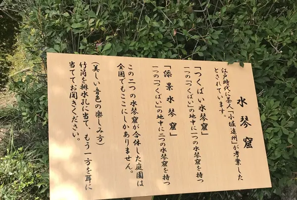 フォーレなかかわね茶茗舘の写真・動画_image_161087