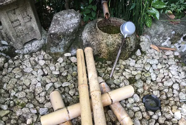 フォーレなかかわね茶茗舘の写真・動画_image_161089