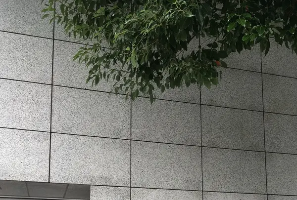 ATAMI海峯楼の写真・動画_image_161205