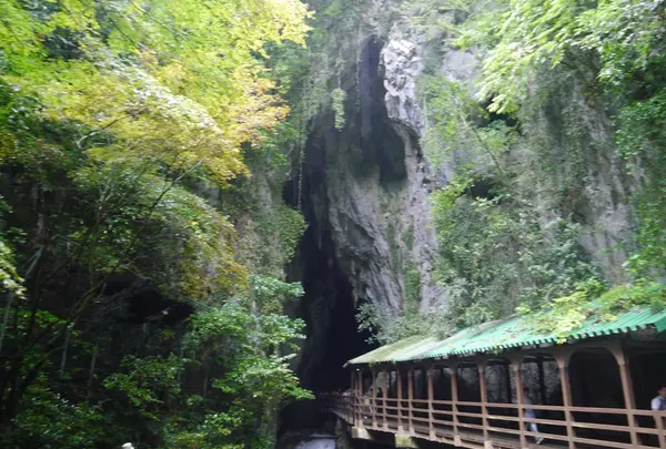 秋芳洞の写真・動画_image_161342
