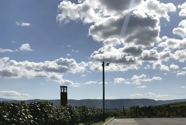 カンパーナ六花亭の写真・動画_image_161483