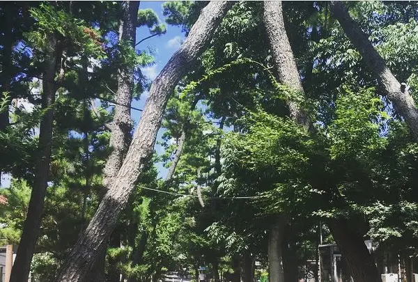 浄真寺の写真・動画_image_161525