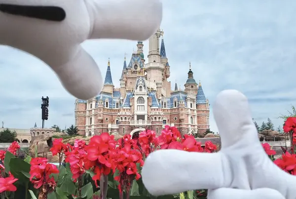 上海ディズニーランド（Shanghai Disneyland /  上海迪士尼乐园）の写真・動画_image_161656