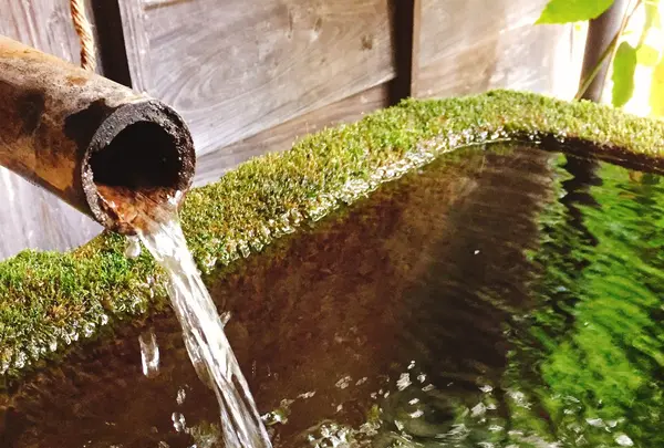 岳ノ湯温泉の写真・動画_image_161681