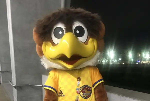 ユアテックスタジアム仙台の写真・動画_image_161825