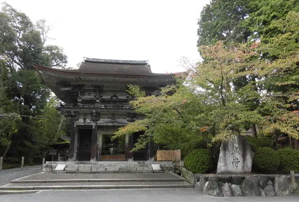 長等山 園城寺（三井寺）の写真・動画_image_161856