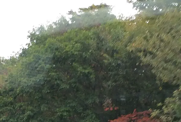 日本ロマンチック街道の写真・動画_image_161927