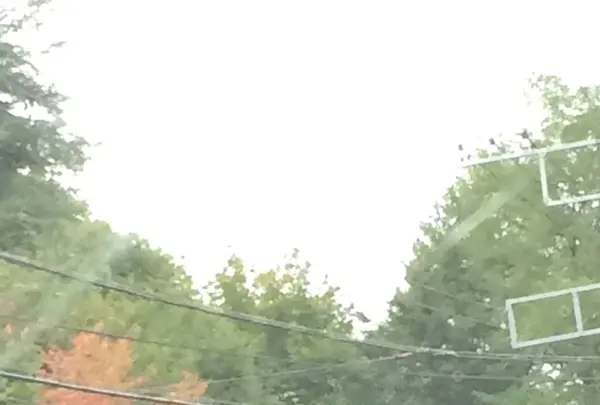 草津白根山の写真・動画_image_161941