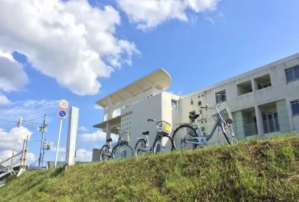 米代川の写真・動画_image_161981