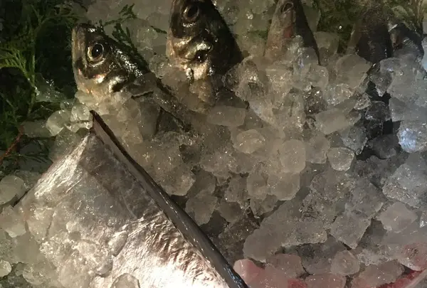 ふね炉ばた焼の写真・動画_image_162032