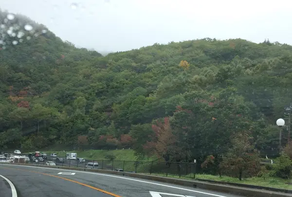 草津白根山の写真・動画_image_162046