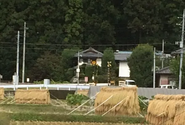 草津白根山の写真・動画_image_162058