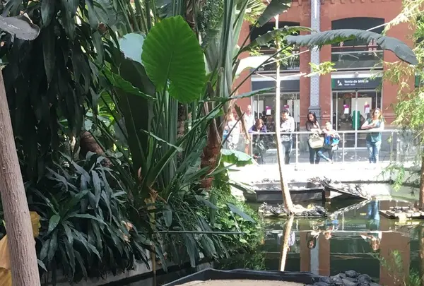 Madrid Atocha Railway Stationの写真・動画_image_162094