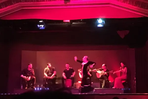 Palau del Flamencの写真・動画_image_162109