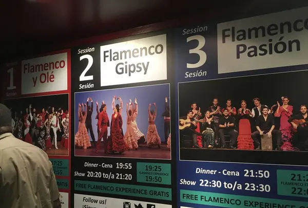 Palau del Flamencの写真・動画_image_162110