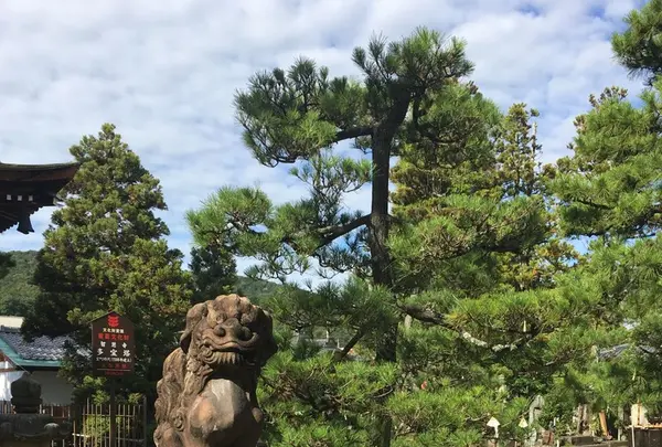 智恩寺の写真・動画_image_162197