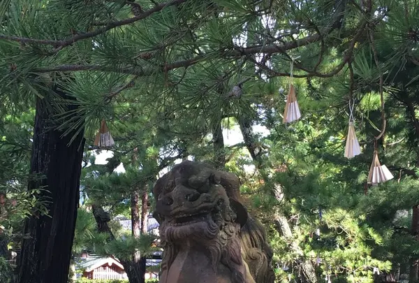 智恩寺の写真・動画_image_162199
