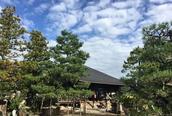 智恩寺の写真・動画_image_162200
