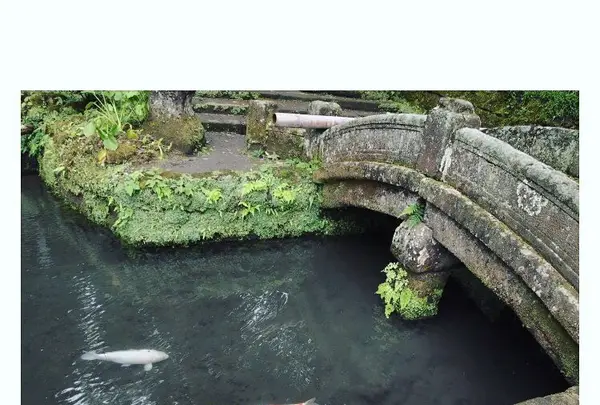 浄智寺の写真・動画_image_162219