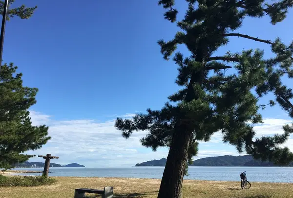 天橋立の写真・動画_image_162273