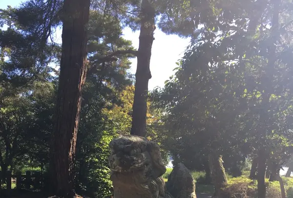 天橋立神社の写真・動画_image_162280