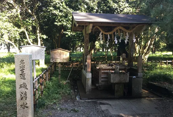天橋立神社の写真・動画_image_162281