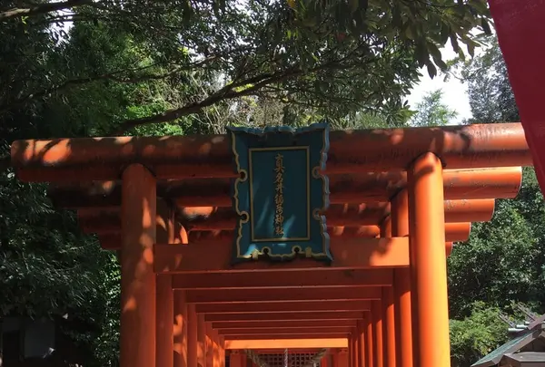 元伊勢籠神社の写真・動画_image_162292