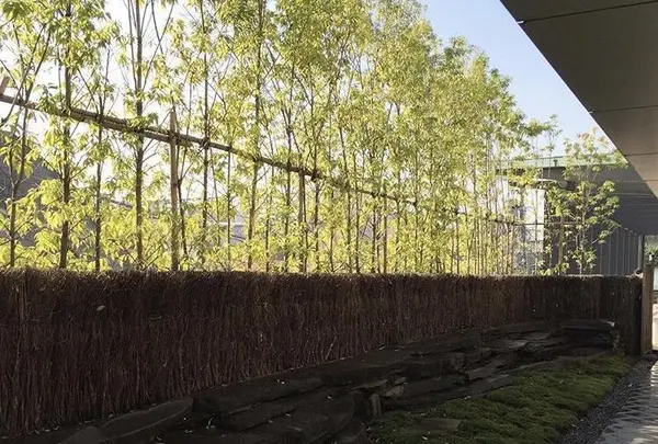 茶洒 金田中の写真・動画_image_162356