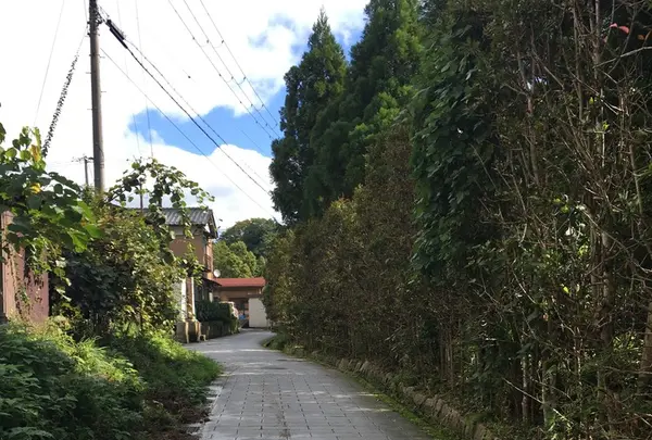 真名井神社の写真・動画_image_162414