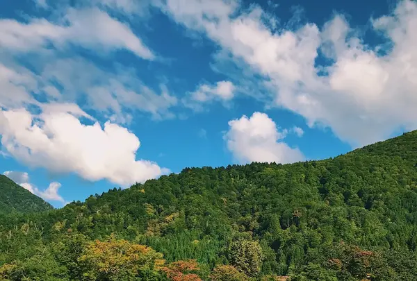 白川郷の写真・動画_image_162507