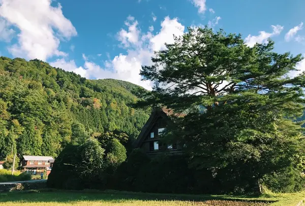 白川郷の写真・動画_image_162508