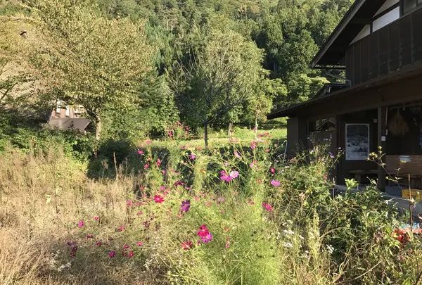 白川郷の写真・動画_image_162509