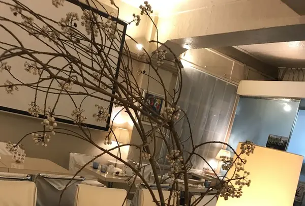 カフェ ショコラの写真・動画_image_162640