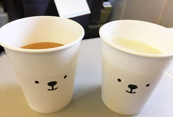 女満別空港の写真・動画_image_162691