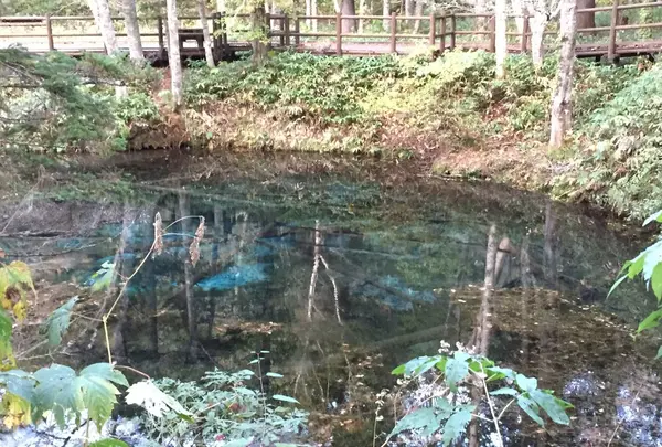 神の子池の写真・動画_image_162704