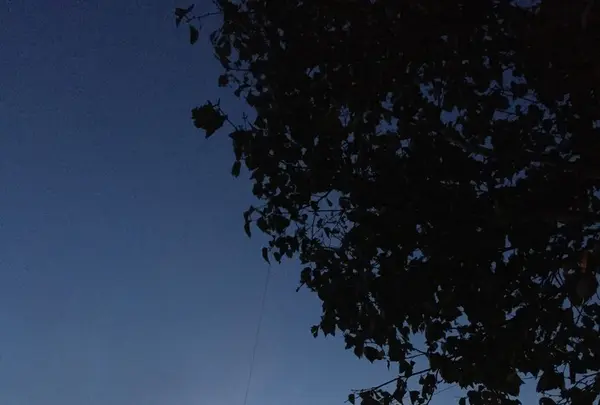 ロッジ 風景画の写真・動画_image_162709