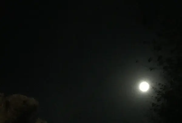 ロッジ 風景画の写真・動画_image_162710