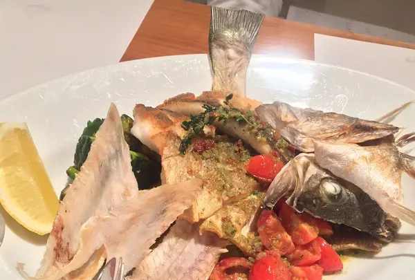 Vivoの写真・動画_image_162747