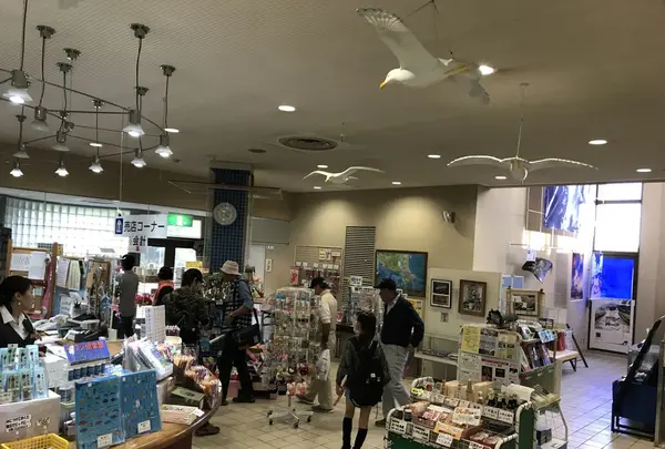 地球の丸く見える丘展望館の写真・動画_image_162804